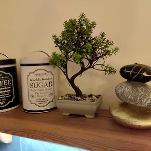  דירה Studio Fortune ישראל